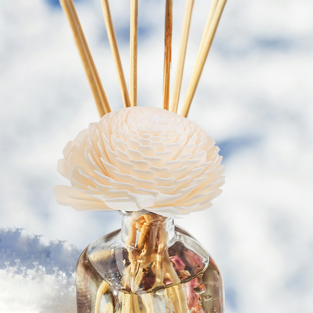 Home Fragrance Usa - Aromatherapy Diffuser Fragrance Essential Oil Decor