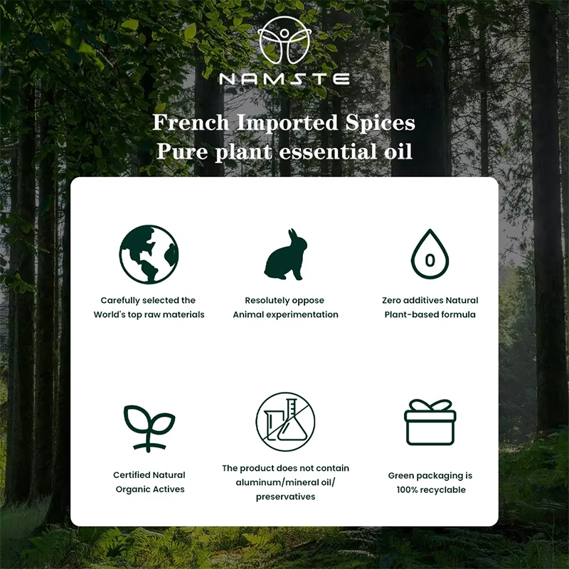 NAMSTE 100ML Oil Diffuser Esse - đánh giá và giá Home Fragrance Logo