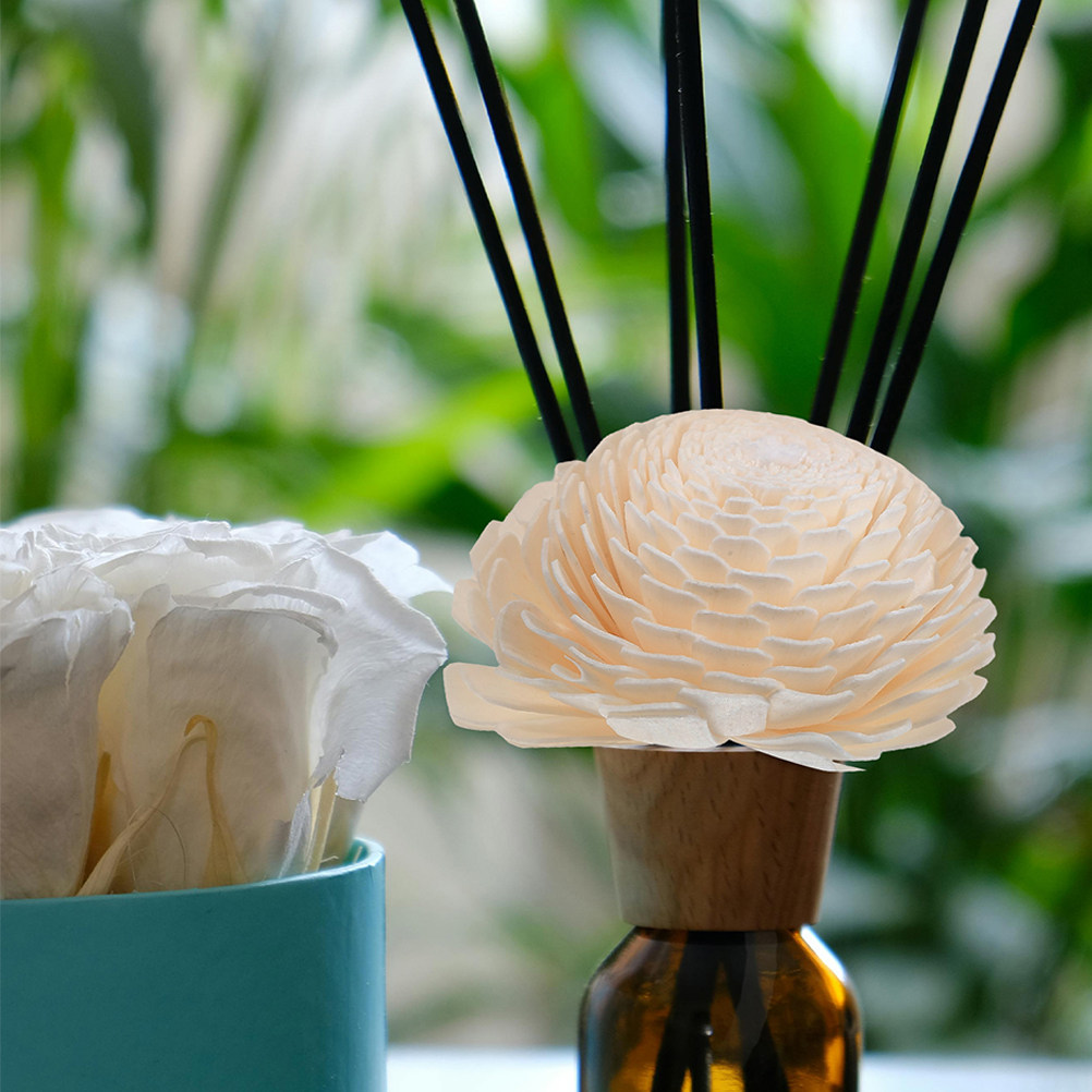 Aromatherapy Diffuser Fragranc - đánh giá và giá Home Fragrance Usa